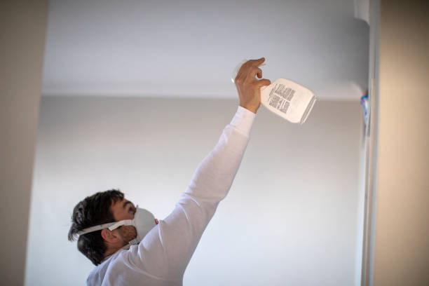 Best Local Mold Removal Service  in Lehi, UT