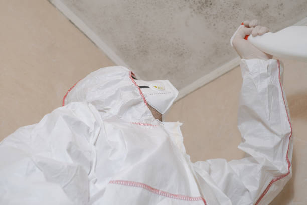 Best Office Mold Removal Services  in Lehi, UT